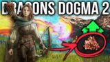 Dragons Dogma 2 How To Get The BEST Weapons & Armor – Drake Locations & Farm Guide!
