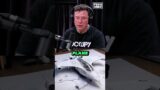 Elon Musk's Incredible Plane Design