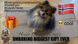 FUNNY UNBOXING WITH HENDO POMERANIAN BIG GIFT FROM BESTIES #shorts #unboxing #funny