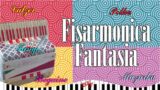 Fisarmonica fantasia | Folk Ballo da Sala | Liscio Balera 2024 | Paso Doble, Tarantella, Valzer