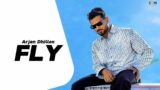 Fly – Arjan Dhillon New Song | Manifest Arjan Dhillon New Album | New Punjabi Songs
