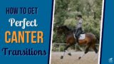 Get Perfect Canter Transitions Every Time