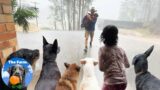 Heavy Rain Hits the Farm with Twenty Four Animals Taking Refuge in the House | The Farm