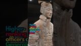 How Tall Are The Terracotta Warriors? #history