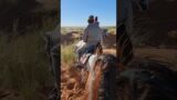Hunting Oryx on Horseback in the Red Dunes of the Namibian Kalahari! #short