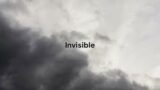 Invisible(Prod. Robin Cause)