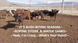 ~It's Bush Biting Season~ Roping Steers and Water Tanks~  Yeah, I'm Crazy!!!~