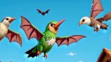 Learn different birds that fly in the sky,simple learning examples of of different birds in the sky