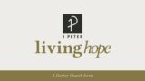Living Submission in Suffering [1 Peter 2:18-25]