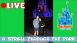 Magic Kingdom Live! – Escape to the Happiest Place on Earth