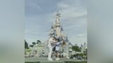 Marriage proposal ruined by Disneyland employee