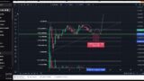 NYAN Cat Base Coin Crypto Price Prediction and Technical Analysis Today 2024