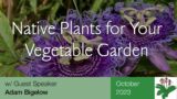 Native Plants for Your Vegetable Garden – Southern Piedmont Chapter – October 2023