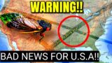 PREPARE!! 2024 Solar Eclipse And Cicadas Scary Prediction