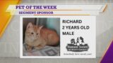 Pet of the Week | Richard