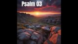 Psalm 03