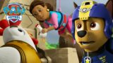 Pups save Chickaletta from Cluck Cluck Island! | PAW Patrol Episode | Cartoons for Kids Compilation