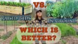 Raised Beds Versus In Ground Gardening– Which is better?