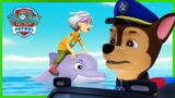 Rescue Knights Pups stop a magical sleepy spell and more episodes! | PAW Patrol | Cartoons for Kids