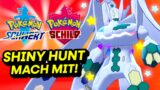 SHINY Zygarde in Dyna Raids shiny hunten mit EUCH in Pokemon Schwert & Schild Dynamax Abenteuer