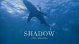 Shadow Over The Fins – A Project Paradise Film