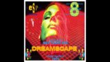 Slipmatt @ Dreamscape 8 'Takes you into 1994', 31st December 1994