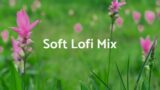 Soft Lofi Mix – Rest Your Mind [chill lo-fi hip hop beats]
