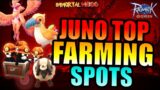 TOP JUNO FARMING SPOTS!! [EXP/CARDS] – RAGNAROK ORIGIN