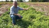 Terminating Cover Crops in the Spring