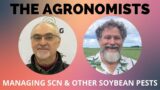 The Agronomists, Ep 149: Managing soybean cyst nematode