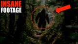 Unexpectedly The Most Disturbing Trail Cam Captures That Shocked Everyone On Internet