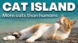 Visiting Greek Cat Island | Hydra, Greece | ASMR #silentvlog [travel vlog]