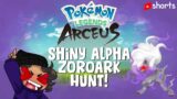 WE FOUND SHALPHA ZOROARK! Chill Pokemon Legends Arceus Shiny Alpha Hunting #shorts