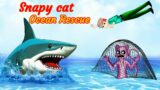 "Snappy Cat to the Rescue: Brave Ocean Adventures Await!"