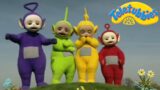 Teletubbies | Teletubbies Have Come To See The Cows! | Shows for Kids | WildBrain Zigzag