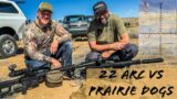 22 ARC DESTROYS Prairie Dogs | Hunting With Uintah Precision And Hornady's NEWEST Cartridge