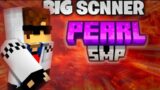 @SpunkyInsaan20 is a biggest SCANNER pearl smp EXPOSED