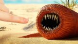 A Real Dune Experiment, Do We Really Have Worms Like This? | Science Documentary