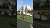 A bear was on a football field, when he kicked the football and it all broke