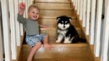 Adorable Baby Boy And Puppy Learn To Climb Stairs For First Time! (Cutest Ever!!)