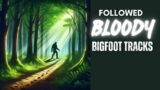 BIGFOOT Tracks Lead To Signs Of A Struggle And Blood Everywhere | BIGFOOT ENCOUNTERS PODCAST