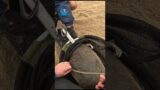 Baby Seal Rescued From Rope #shorts