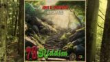 Broken pieces – Jonny de Ambassador (78 Riddim by Mystical LightA & Casalu Dub)