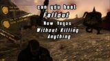 Can you beat Fallout: New Vegas without killing anyone?
