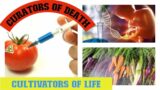 Curators of Death or Cultivating Life