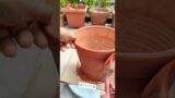 DIY-Terracotta Planter for Garden #shorts #gardening #garden #gardentips #diy