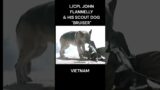 Dog Saves his Soldier #history #vietnamwar #vietnam #dogshorts #doglovers #veteran #militaryhistory
