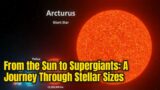 From the Sun to Supergiants: A Journey Through Stellar Sizes