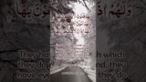Fuel of Hell | Surah Al-A'raf Verse 179 | #suraharaf  #quran #recitation #quranverses #quranshorts