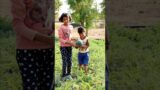 Garib Baccha or watermelon humanity shorts video #shorts #trending #poor #watermelon